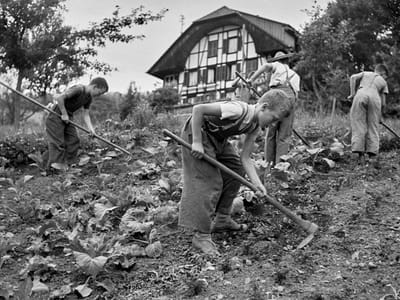 Knaben bei der Feldarbeit in der Armenerziehungsanstalt «Dorneren» ob Wattenwil, 1954.