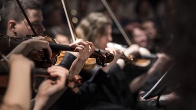 PixabayOrchestra