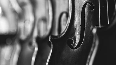 PixabayViolins