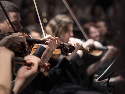 Violins